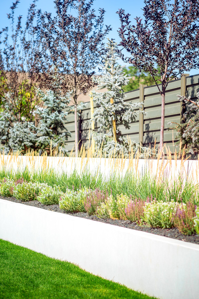 Großer Moderner Garten mit direkter Sonneneinstrahlung und Betonboden in Salt Lake City