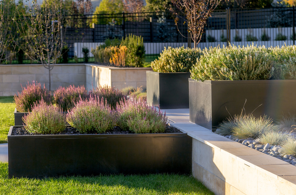 Ispirazione per un grande giardino contemporaneo esposto in pieno sole davanti casa con un muro di contenimento e pavimentazioni in cemento