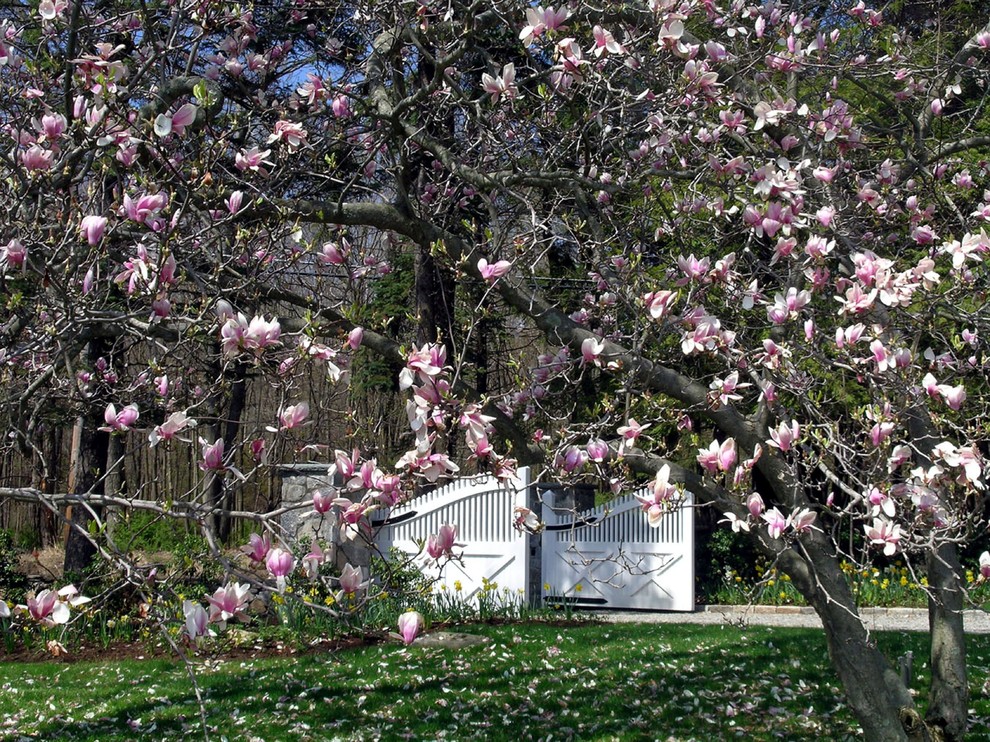 ニューヨークにある春のトラディショナルスタイルのおしゃれな前庭の写真