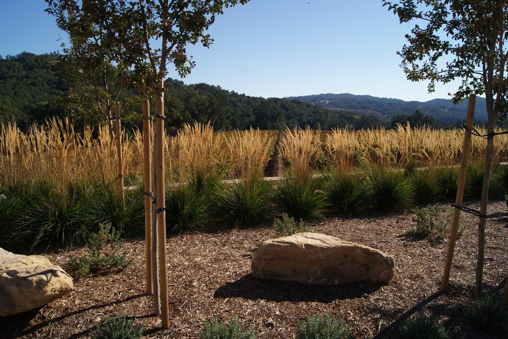 Mediterraner Garten in San Luis Obispo