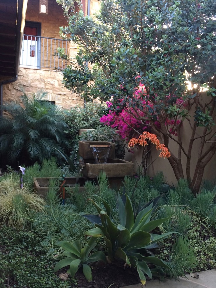 Mediterranean courtyard partial sun garden in San Diego.