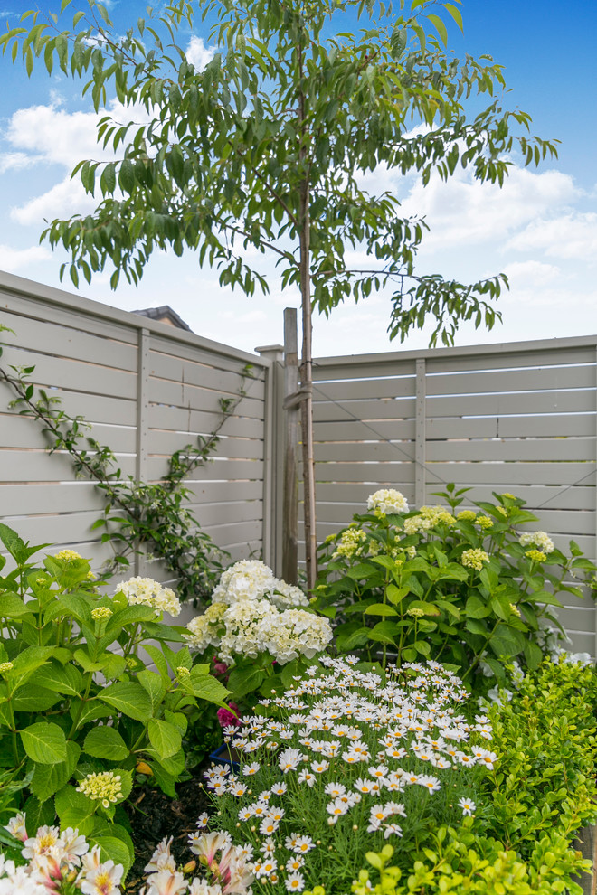 Esempio di un piccolo giardino formale classico esposto in pieno sole dietro casa in estate con un ingresso o sentiero e pavimentazioni in cemento