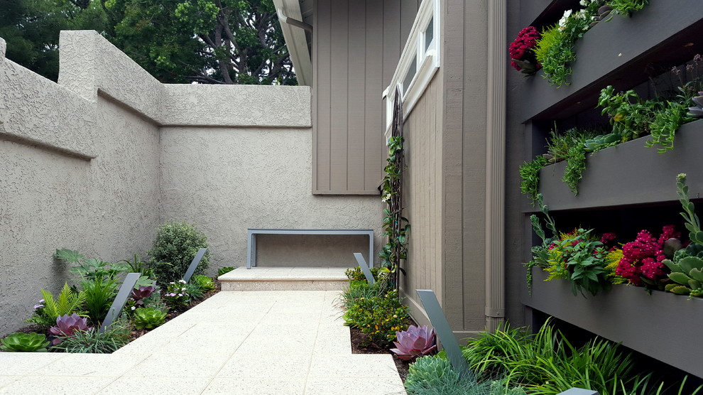 Свежая идея для дизайна: маленькая фитостена на внутреннем дворе в современном стиле для на участке и в саду - отличное фото интерьера