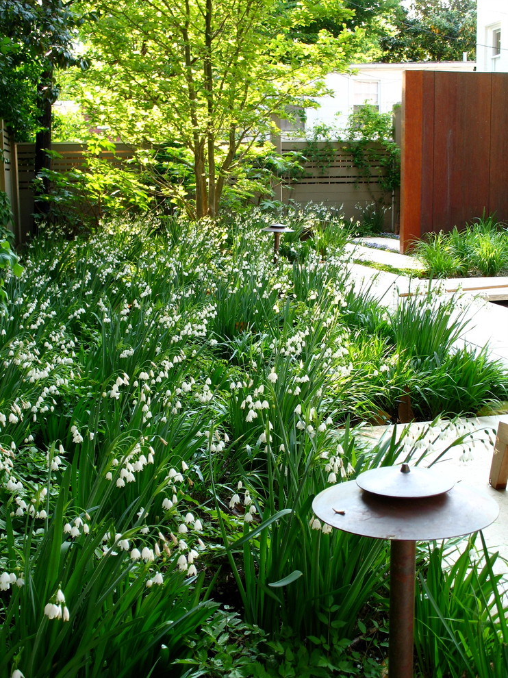 Inspiration pour un petit jardin sur cour design avec une exposition partiellement ombragée.