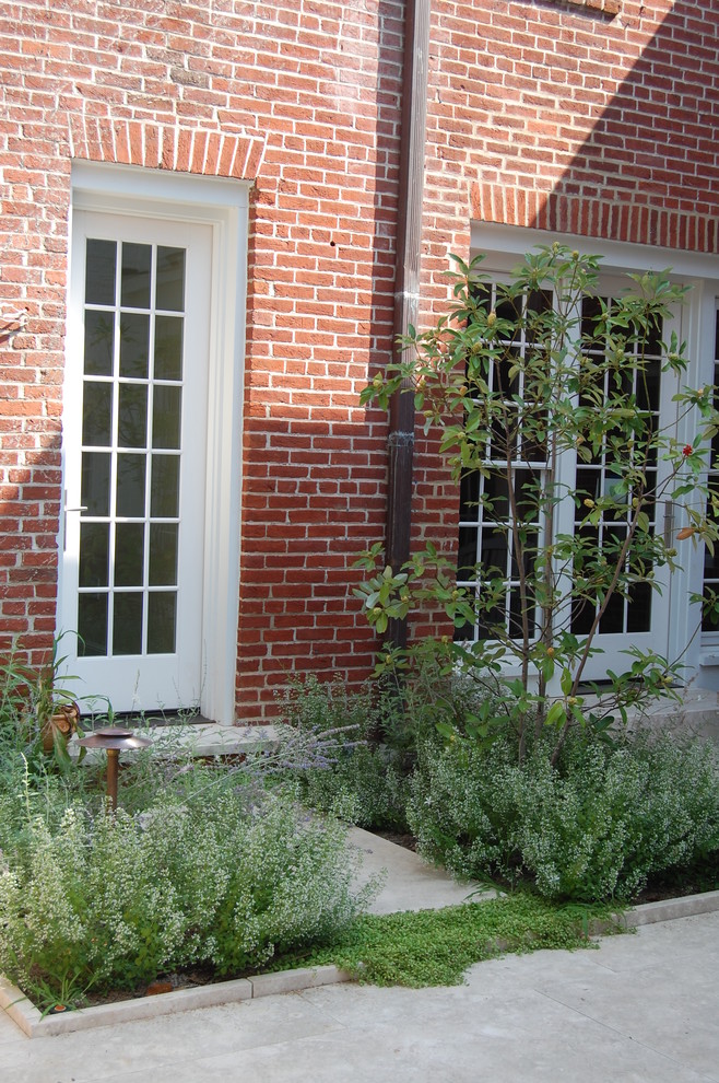 Cette photo montre un petit jardin sur cour tendance avec une exposition partiellement ombragée.