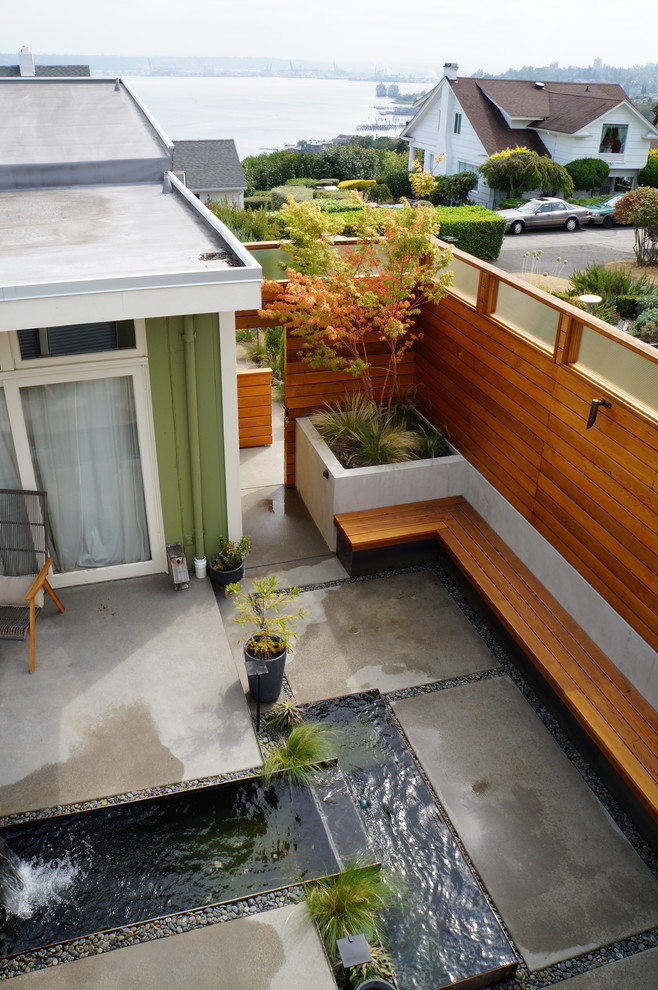 シアトルにあるミッドセンチュリースタイルのおしゃれな庭の写真