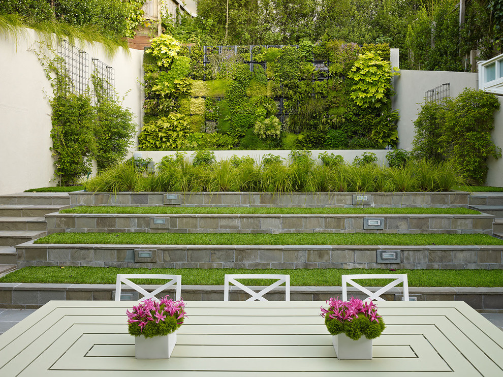 Bild på en funkis trädgård, med en vertikal trädgård