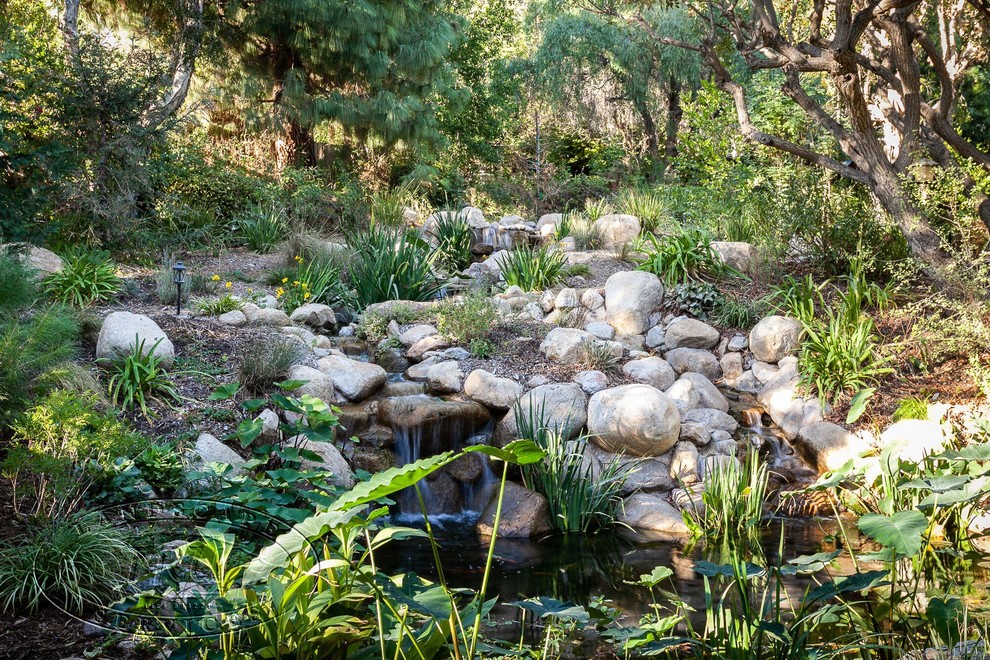 Photo of a large rustic sloped garden in Orange County with a pond.