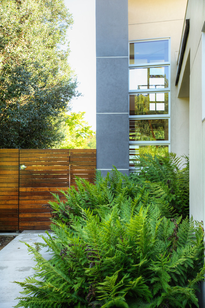 This is an example of a modern side yard landscaping in Sacramento.