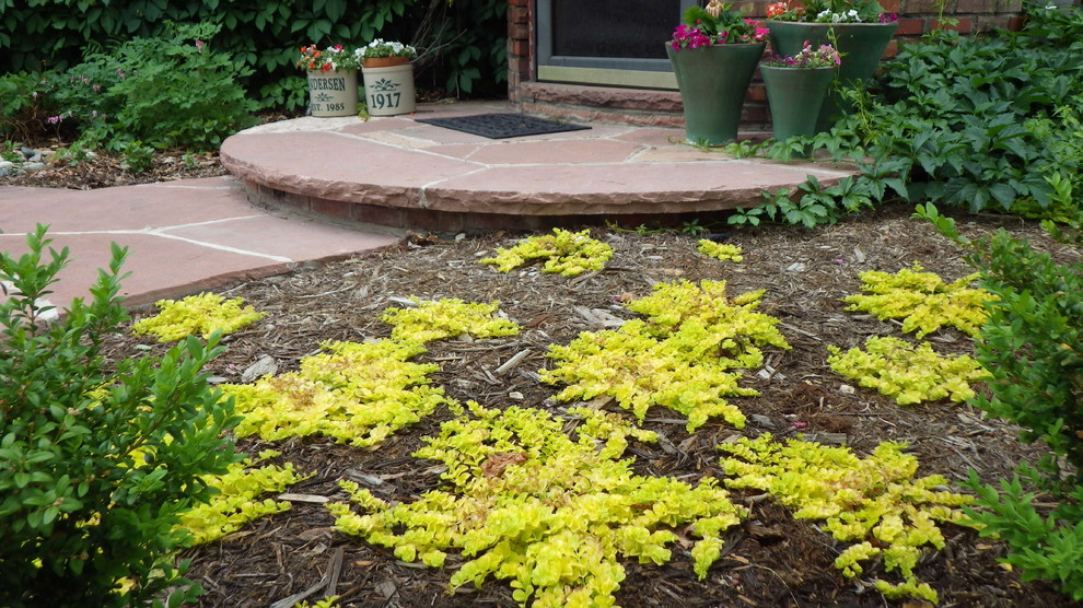 Cozy Cottage Walkway & Patio Fort Collins, CO Traditional