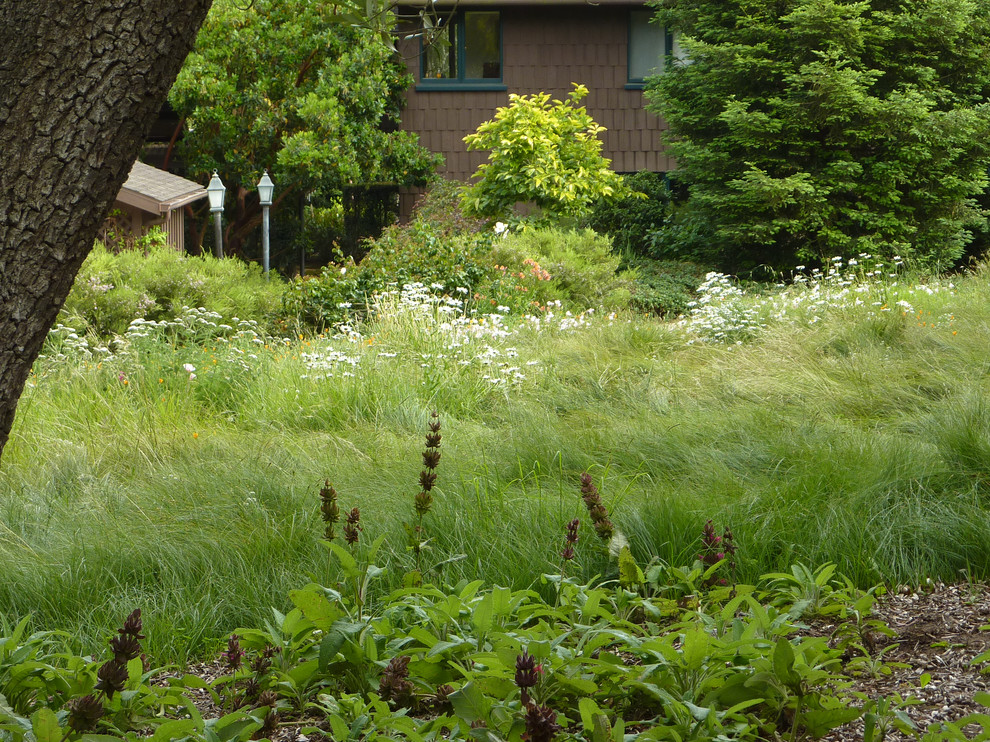 Стильный дизайн: большой солнечный, весенний засухоустойчивый сад на заднем дворе в стиле кантри с хорошей освещенностью - последний тренд