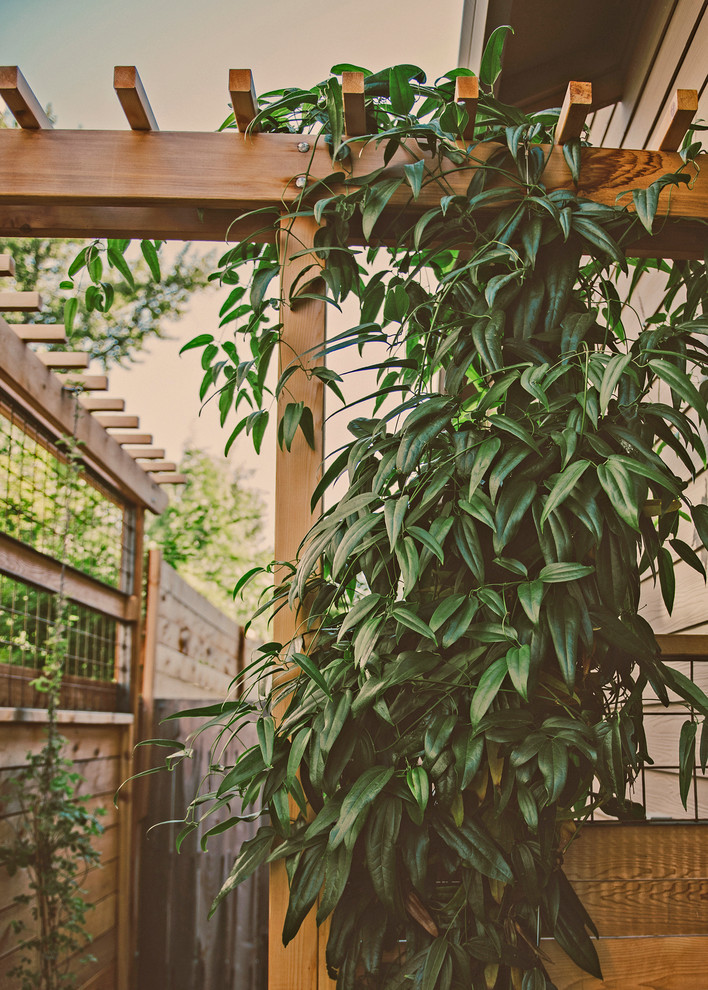 Immagine di un piccolo giardino american style esposto a mezz'ombra nel cortile laterale in estate con ghiaia