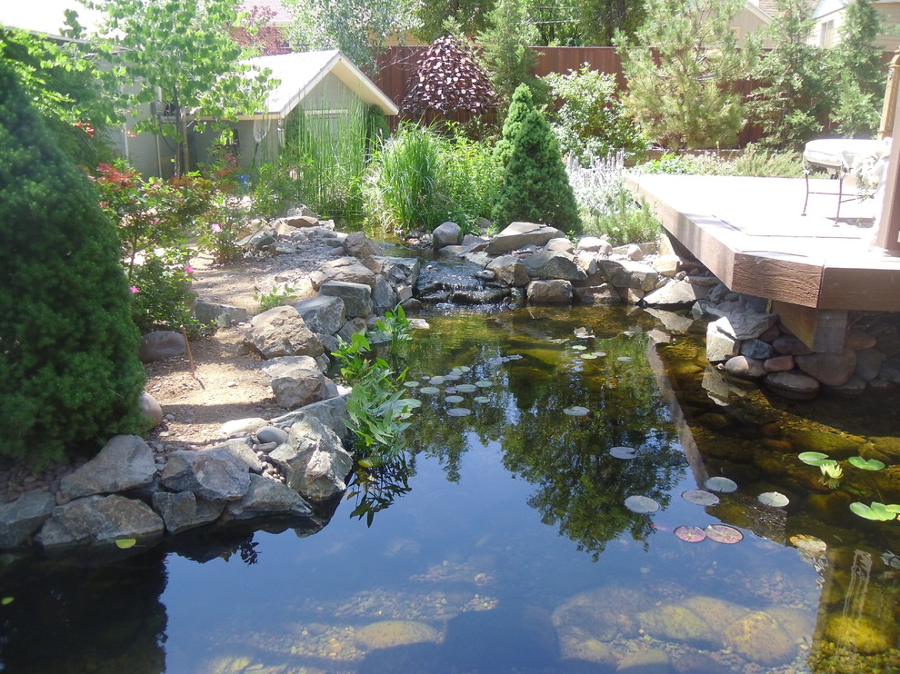 Inspiration for an expansive classic back partial sun garden in Phoenix with a pond.