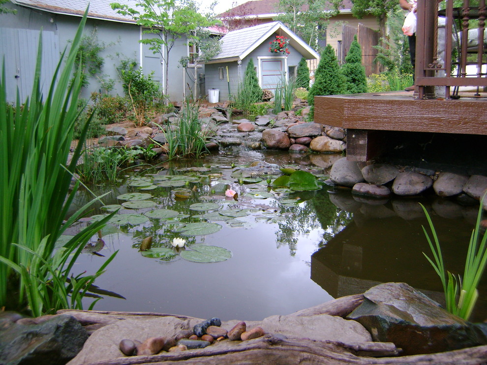 Immagine di un ampio laghetto da giardino american style esposto in pieno sole dietro casa