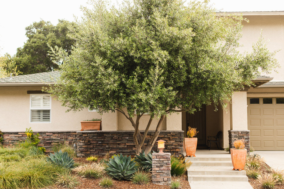 Design ideas for a mid-sized contemporary drought-tolerant front yard landscaping in San Luis Obispo.