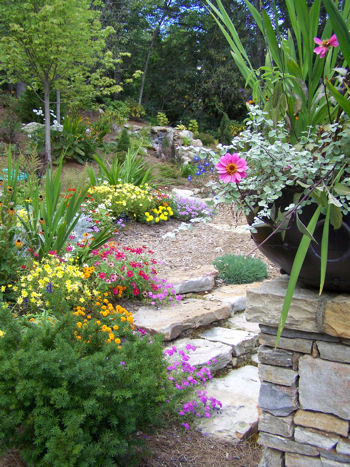 Diseño de jardín clásico renovado en verano en patio delantero con jardín de macetas y exposición parcial al sol