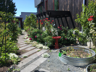 Jardin Potager Moderne Photos Et Idees Deco De Jardins Potagers Juin 21 Houzz Fr