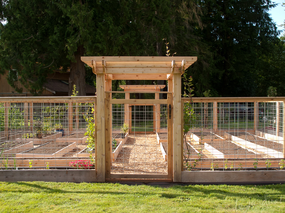 Rustic garden in Seattle with a vegetable patch.