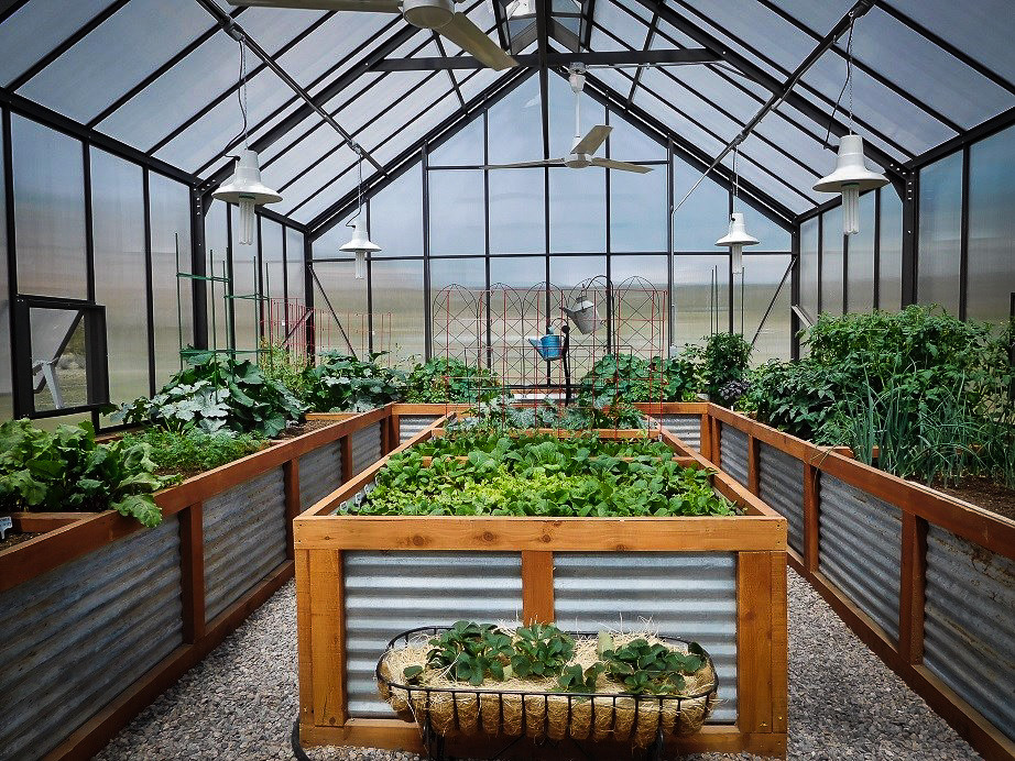 Свежая идея для дизайна: большой солнечный, весенний регулярный сад на заднем дворе в классическом стиле с растениями в контейнерах, хорошей освещенностью и покрытием из гравия - отличное фото интерьера