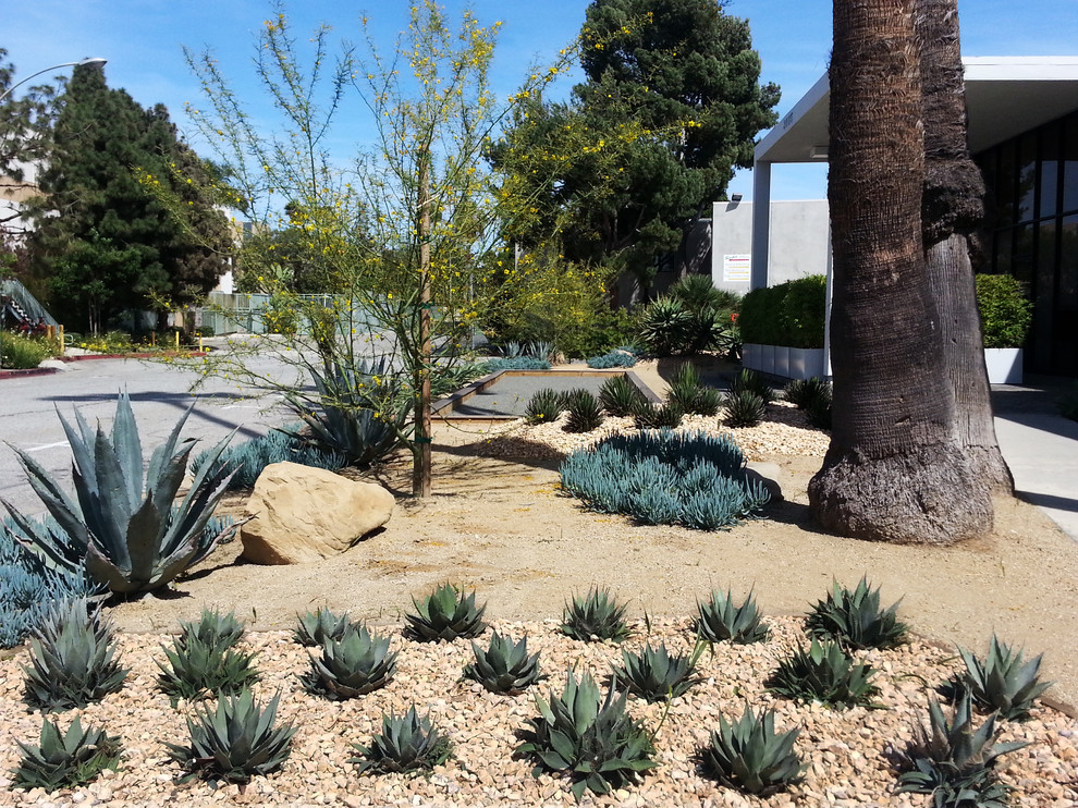 Mittelgroßer Moderner Garten mit direkter Sonneneinstrahlung und Betonboden in Los Angeles