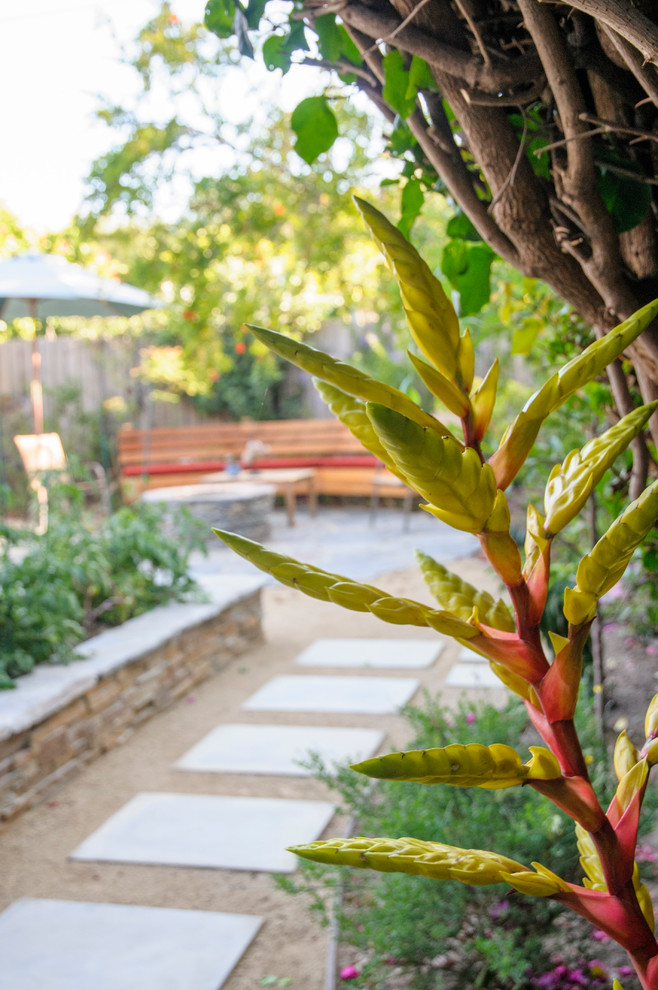 Mittelgroßer, Geometrischer, Halbschattiger Klassischer Garten im Frühling, hinter dem Haus in Los Angeles