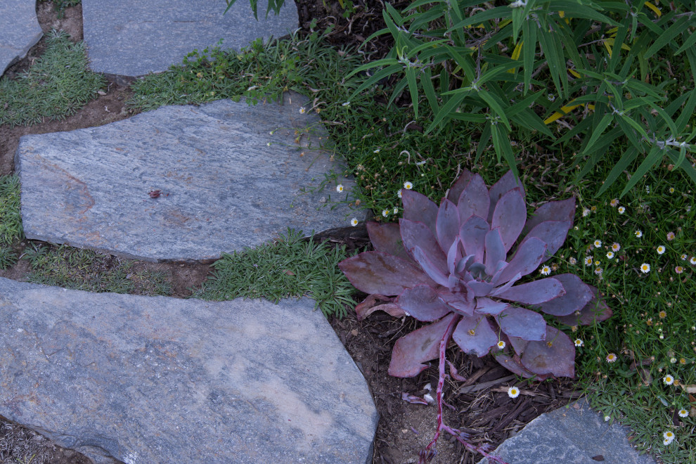 Aménagement d'un petit jardin arrière classique avec une exposition ensoleillée et des pavés en pierre naturelle.