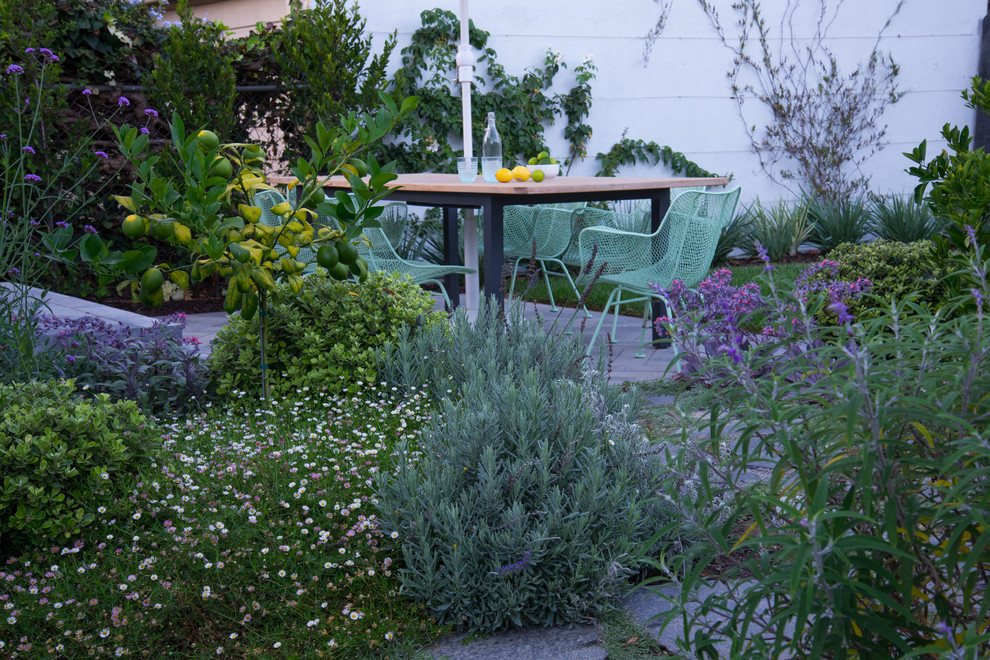 Ejemplo de jardín minimalista pequeño en patio trasero con adoquines de hormigón