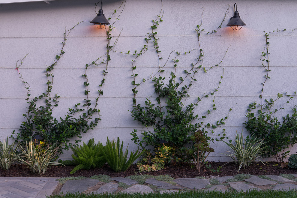 Réalisation d'un petit jardin arrière minimaliste avec des pavés en béton.