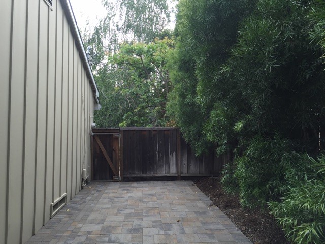 Photo of a mid-sized traditional shade courtyard concrete paver outdoor sport court in San Francisco.