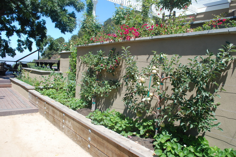 Cupertino, California Traditional Landscape San Francisco by