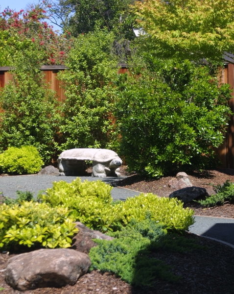 Geometrischer, Mittelgroßer Asiatischer Gartenweg im Frühling, hinter dem Haus mit direkter Sonneneinstrahlung in San Francisco