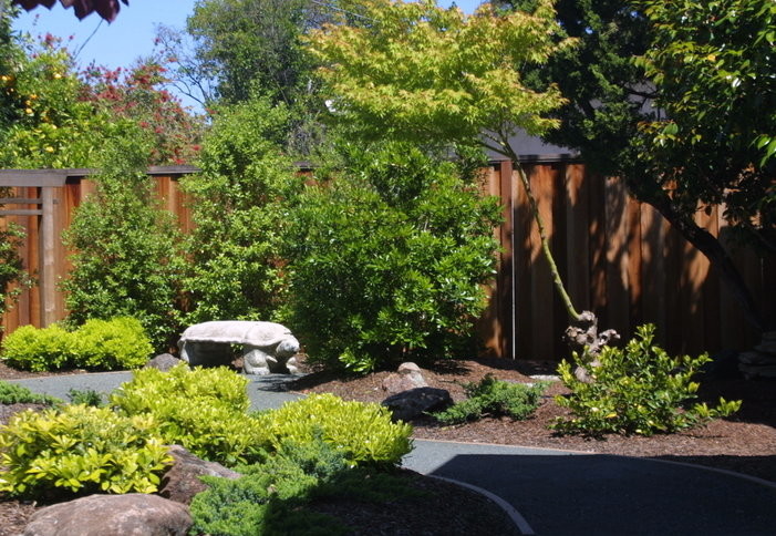 Esempio di un giardino etnico esposto in pieno sole di medie dimensioni e dietro casa in primavera con un ingresso o sentiero