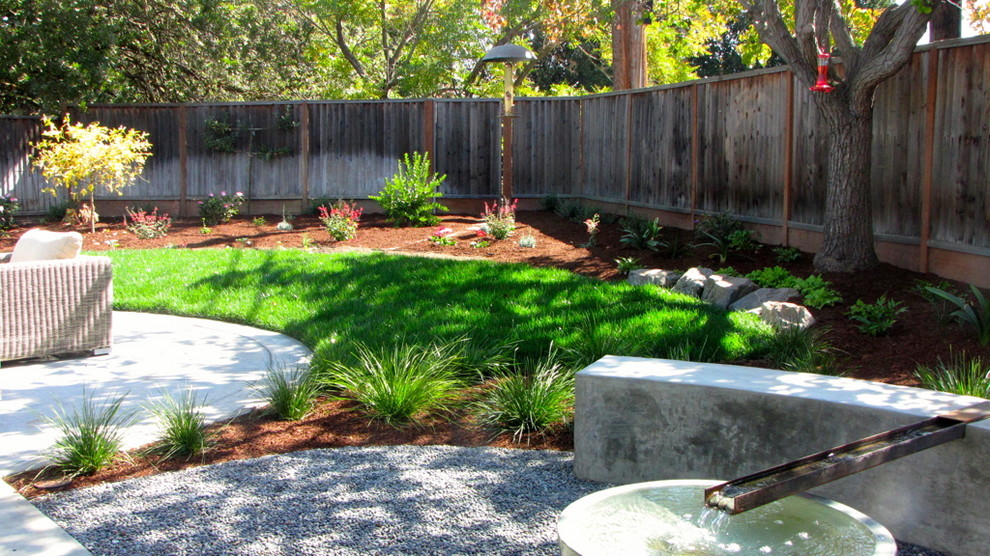 Ispirazione per un giardino xeriscape minimal esposto in pieno sole di medie dimensioni e dietro casa con fontane