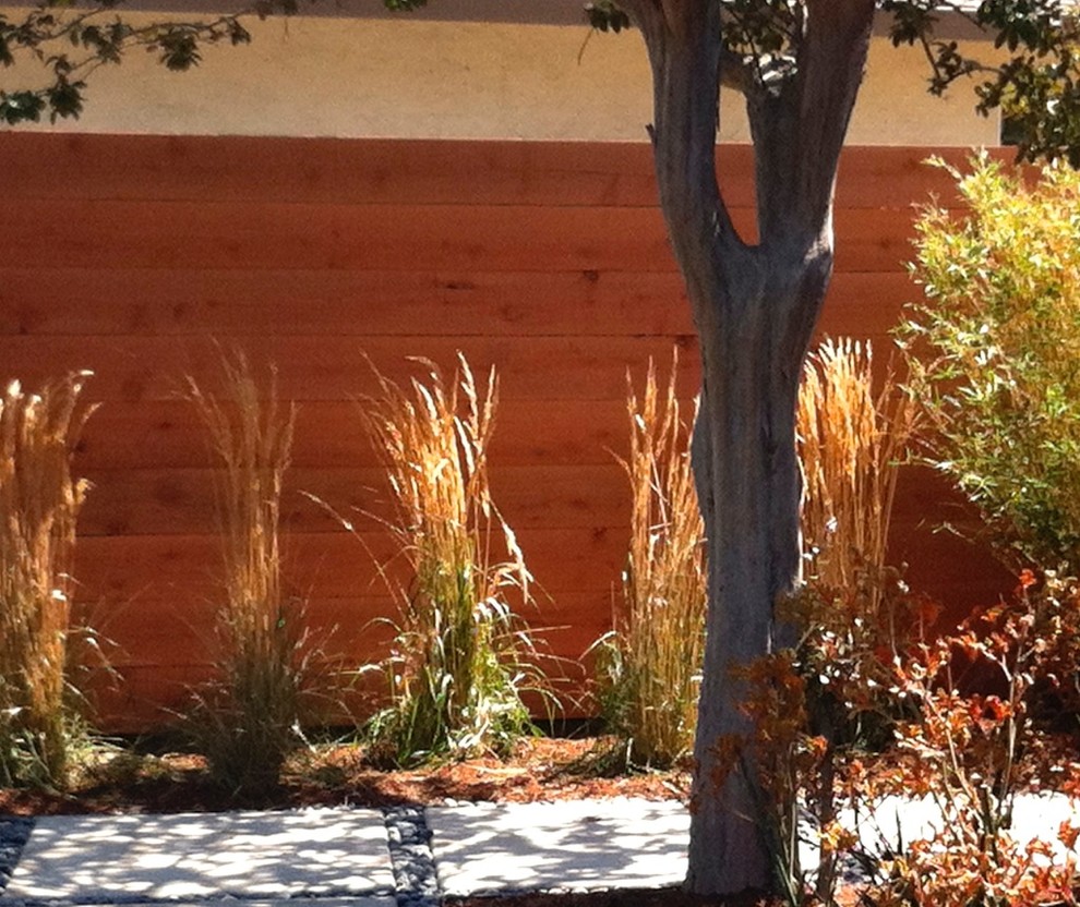 Источник вдохновения для домашнего уюта: солнечный засухоустойчивый сад среднего размера на переднем дворе в современном стиле с хорошей освещенностью и мощением тротуарной плиткой