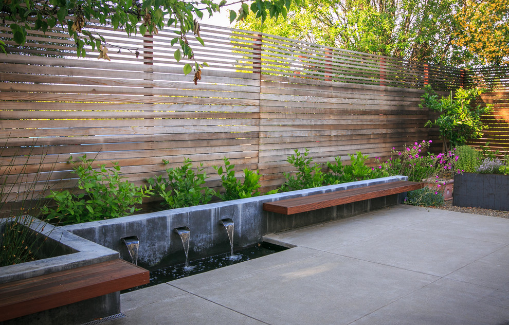 Cupertino Modern Landscape San Francisco by Envision Landscape