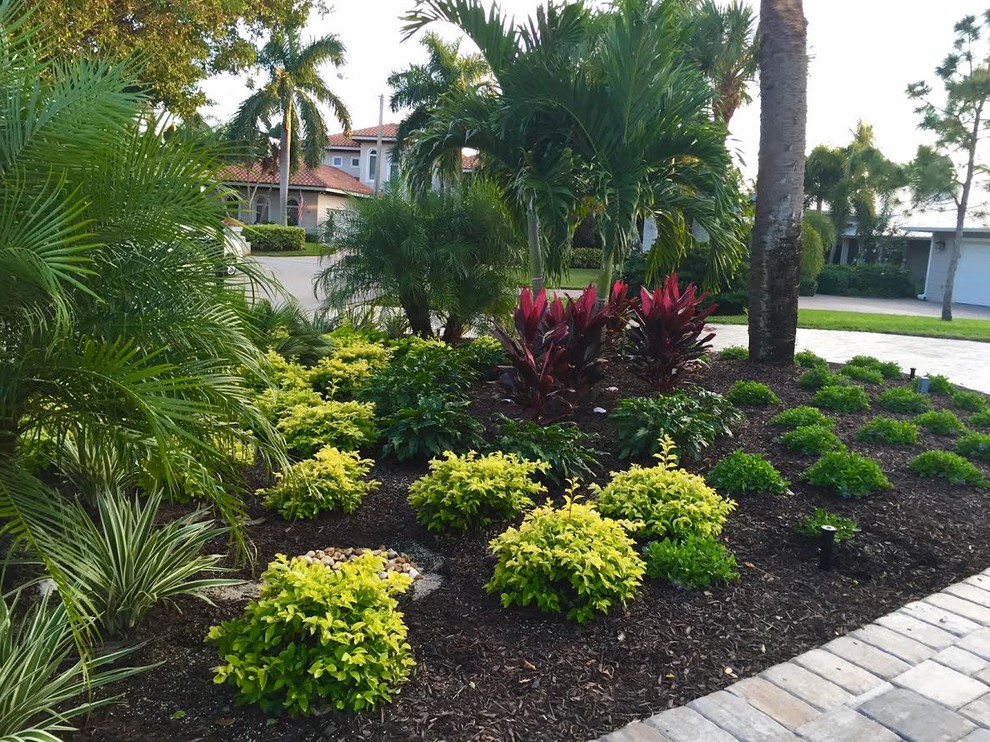 This is an example of a mid-sized tropical landscaping in Orlando.
