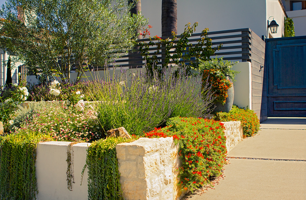 Ejemplo de jardín mediterráneo de tamaño medio en patio delantero con jardín francés y exposición total al sol