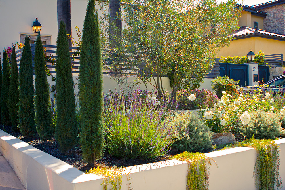 На фото: солнечный регулярный сад среднего размера на переднем дворе в средиземноморском стиле с хорошей освещенностью с