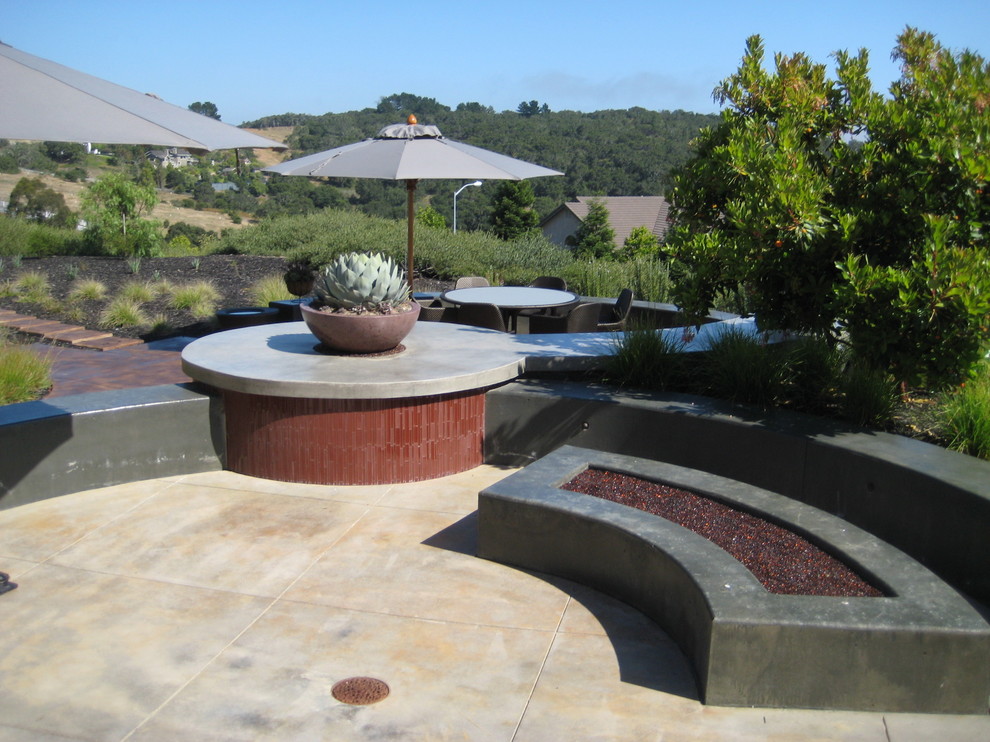 Design ideas for a modern garden in San Luis Obispo.
