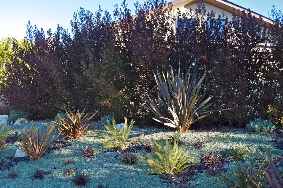 Foto de jardín actual de tamaño medio en patio delantero con exposición total al sol