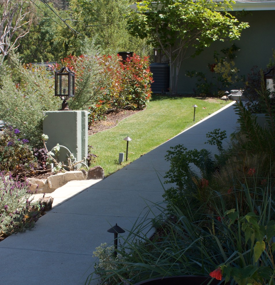 На фото: солнечный участок и сад среднего размера на переднем дворе в современном стиле с хорошей освещенностью с