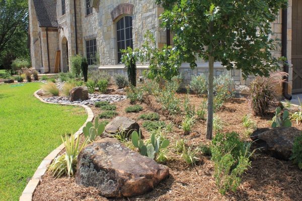 Design ideas for a southwestern landscaping in Dallas.