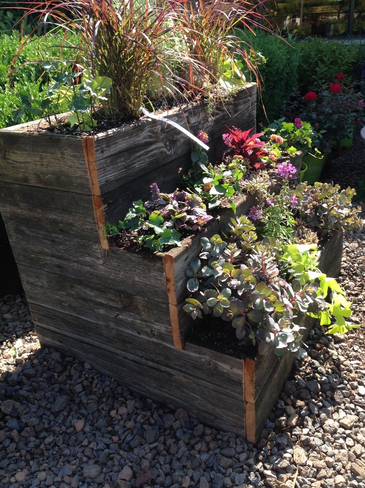 Shabby-Look Garten hinter dem Haus mit Kübelpflanzen und direkter Sonneneinstrahlung in Chicago