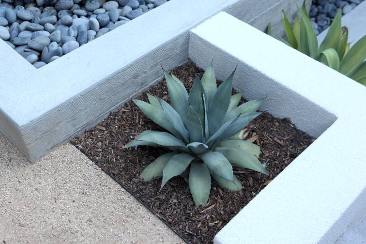 This is an example of a modern back xeriscape garden in Los Angeles.