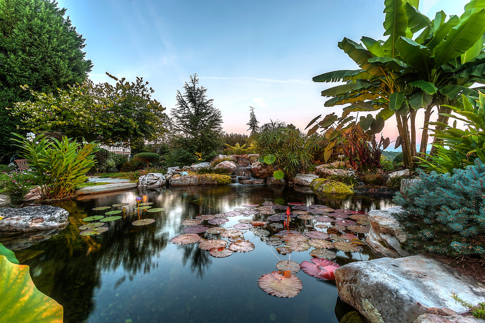 Idee per un grande laghetto da giardino tropicale esposto in pieno sole dietro casa