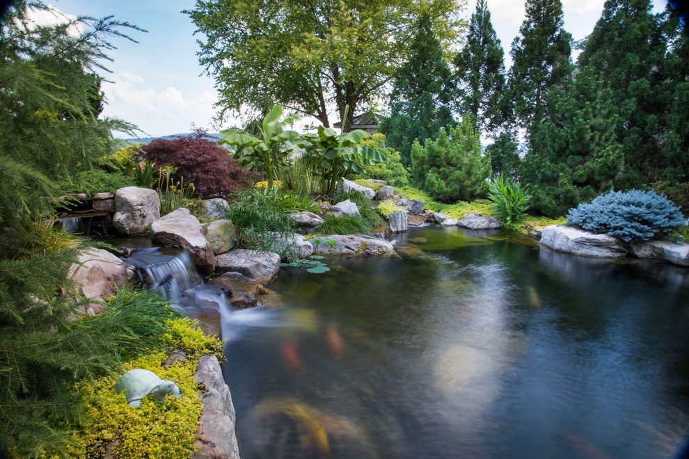 Inspiration pour un grand jardin arrière ethnique avec un bassin et une exposition ensoleillée.