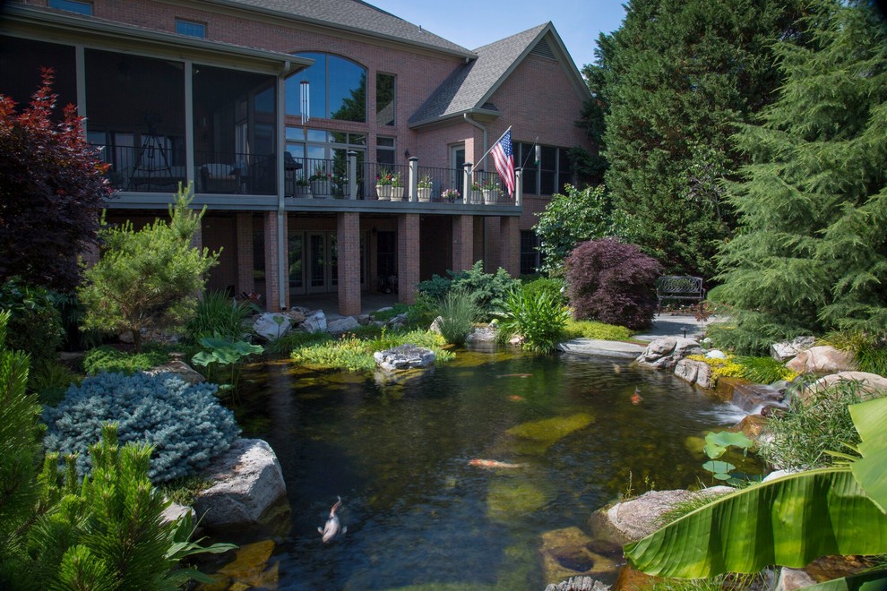 Modelo de jardín exótico grande en patio trasero con estanque y exposición total al sol