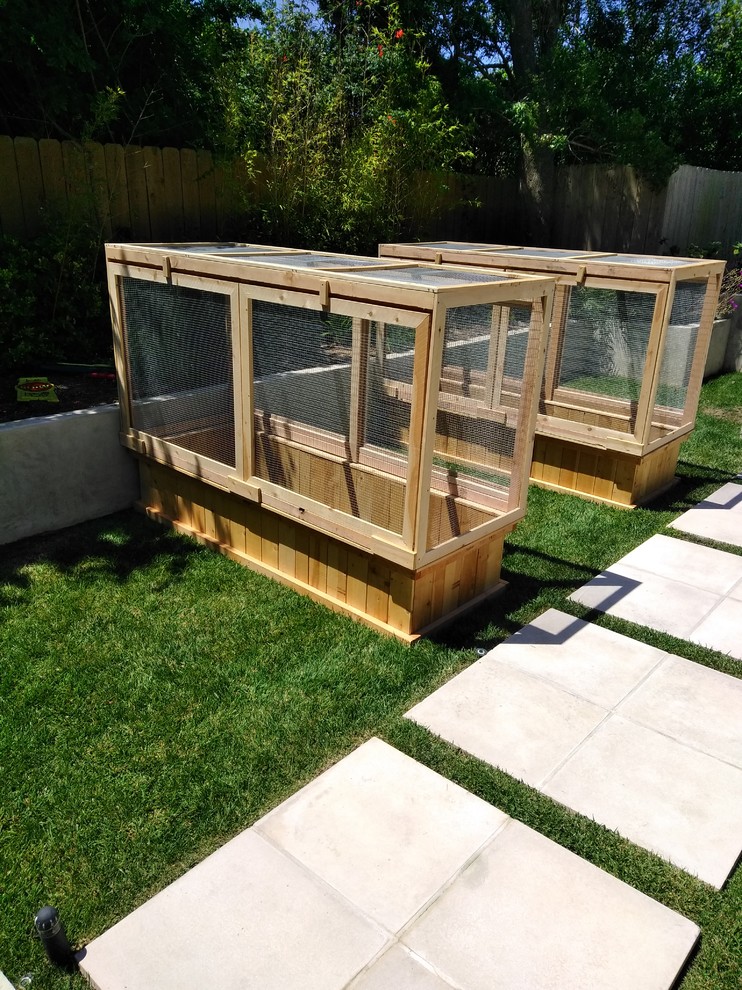 Идея дизайна: большой солнечный, весенний регулярный сад на заднем дворе в стиле модернизм с растениями в контейнерах и хорошей освещенностью