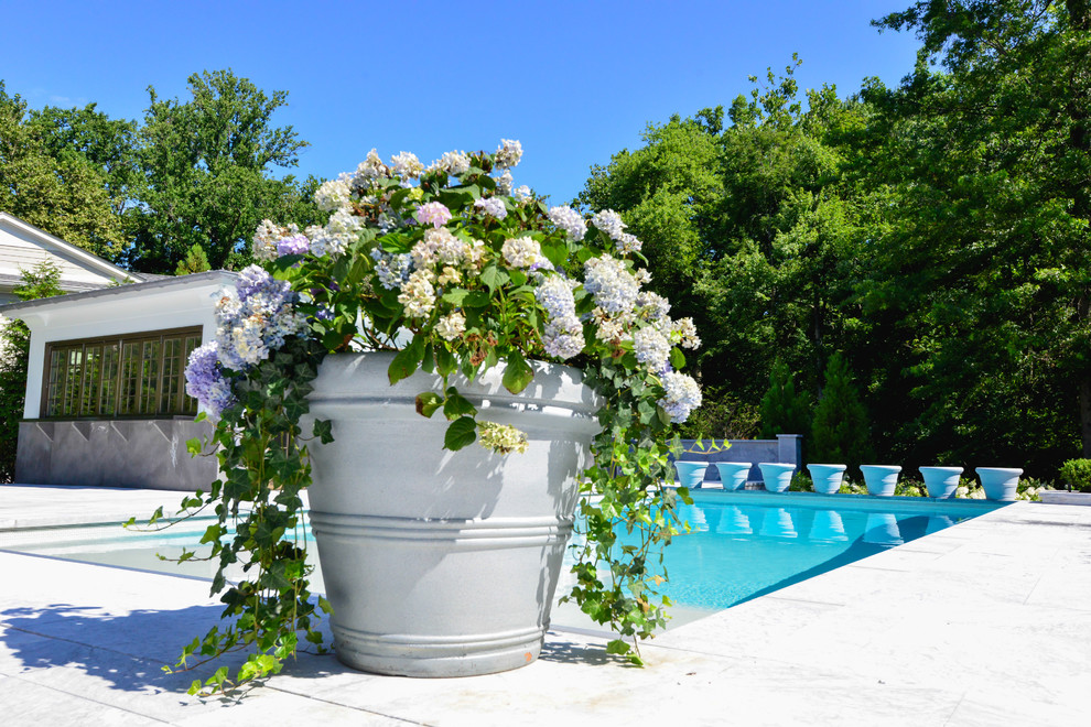Immagine di un giardino minimal esposto a mezz'ombra di medie dimensioni e dietro casa in estate con un giardino in vaso