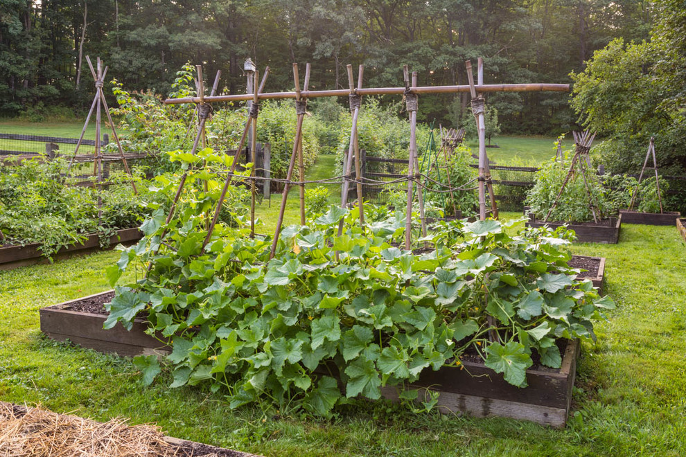 Photo of a large traditional full sun backyard vegetable garden landscape in Portland Maine.